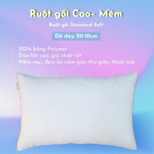 Ruột Gối Standard Soft EVERON