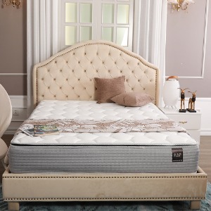 Đệm lò xo EVERON CLOUD PILLOW TOP KINGKOIL