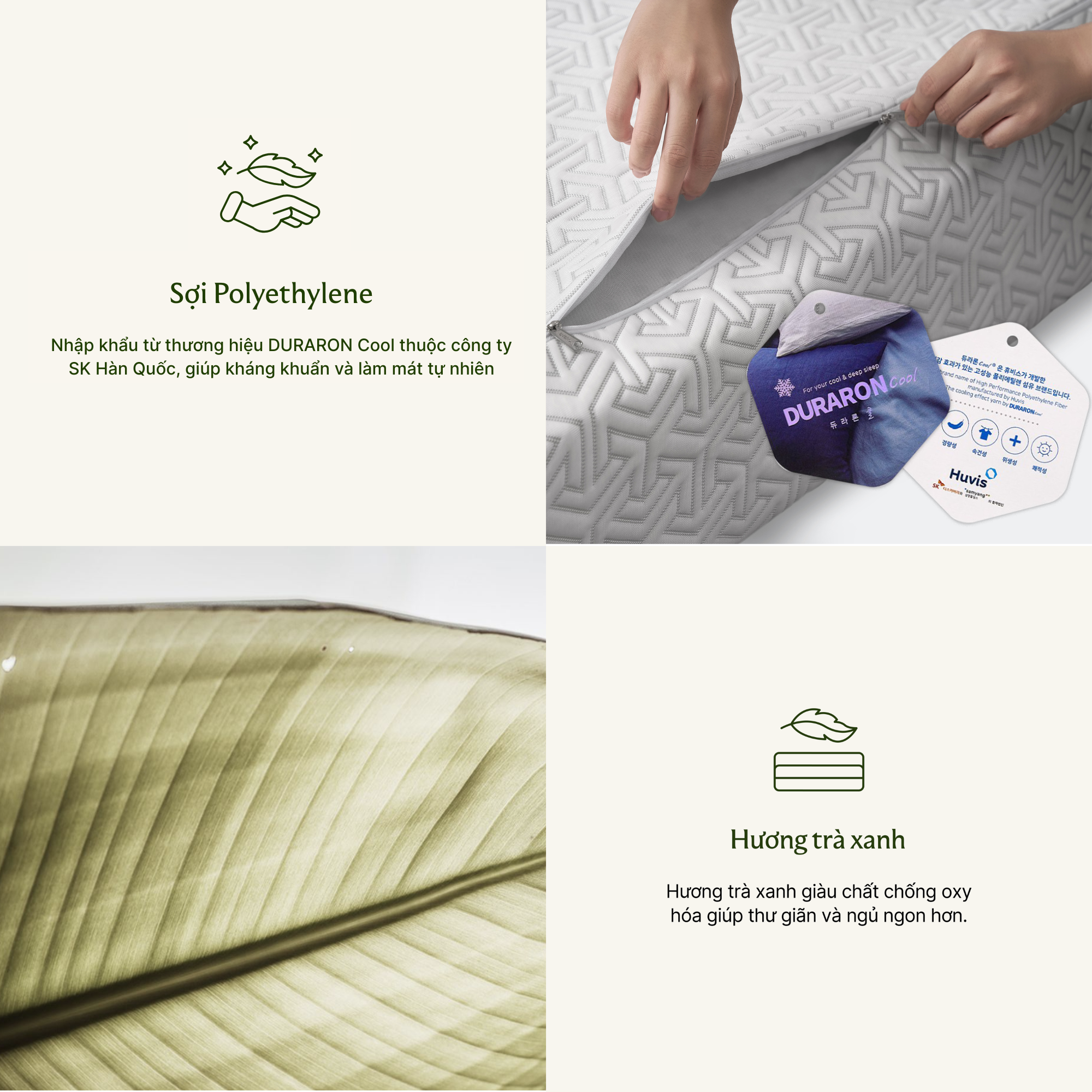 cao-su-than-hoat-tinh-everon